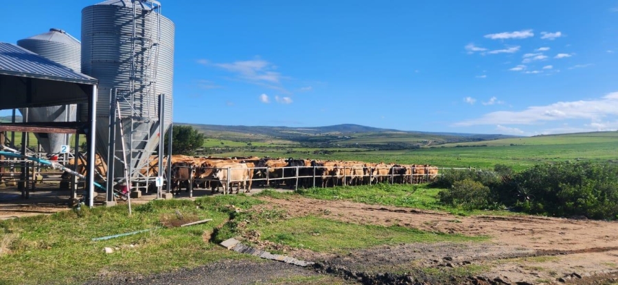 8 Bedroom Property for Sale in Mossel Bay Rural Western Cape